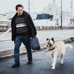 Merkloos Hoog Kwaliteit Muilkorf Met Bedrukt Patroon - Muilkorf Hond - Hondensnuit - Anti Blaf En Bijt - Voor Kleine En Grote Honden Maat M Zwart Reflecterend -Hondenserie Winkel 1200x1200 1654