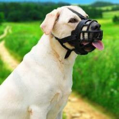 Sharon B Muilkorf Hond - Zwart - XXL - Voor Zeer Grote Honden - Snuitomtrek 38-43 Cm 16 Sharon B Muilkorf Hond - Zwart - XXL - Voor Zeer Grote Honden - Snuitomtrek 38-43 Cm -Hondenserie Winkel 1200x1200 1662