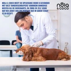 Nola & Coco® Tandsteen Verwijderaar Set Inclusief Bewaardoosje - Tandenkrabber - Set Van Twee - Hond - Kat - Tandenborstel - Tandplak Verwijderen - Tandenstoker - Honden Tanden Schoonmaken - Tandenhaakje - Gebitsreiniging 11 Nola & Coco® Tandsteen Verwijderaar Set Inclusief Bewaardoosje - Tandenkrabber - Set Van Twee - Hond - Kat - Tandenborstel - Tandplak Verwijderen - Tandenstoker - Honden Tanden Schoonmaken - Tandenhaakje - Gebitsreiniging -Hondenserie Winkel 1200x1200 1688