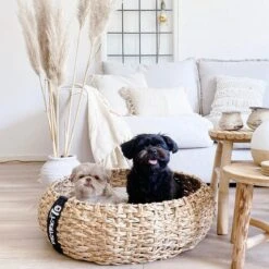 District 70 COCOON - Luxe Hondenmand Van Duurzaam Hoogwaardig Riet Met Zacht Kussen - Maten S/M/L - Large 32 District 70 COCOON - Luxe Hondenmand Van Duurzaam Hoogwaardig Riet Met Zacht Kussen - Maten S/M/L - Large -Hondenserie Winkel 1200x1200 17
