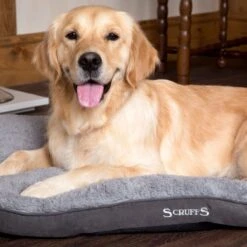 Scruffs Cosy - Comfortabel Hondenkussen In Grijs, Beige Of Karamel - Met Imitatie Suède Buitenvoering En Superzachte Binnenvoering - 100 X 70 Cm - Grijs 26 Scruffs Cosy - Comfortabel Hondenkussen In Grijs, Beige Of Karamel - Met Imitatie Suède Buitenvoering En Superzachte Binnenvoering - 100 X 70 Cm - Grijs -Hondenserie Winkel 1200x1200 177