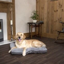 Scruffs Cosy - Comfortabel Hondenkussen In Grijs, Beige Of Karamel - Met Imitatie Suède Buitenvoering En Superzachte Binnenvoering - 100 X 70 Cm - Grijs 28 Scruffs Cosy - Comfortabel Hondenkussen In Grijs, Beige Of Karamel - Met Imitatie Suède Buitenvoering En Superzachte Binnenvoering - 100 X 70 Cm - Grijs -Hondenserie Winkel 1200x1200 179