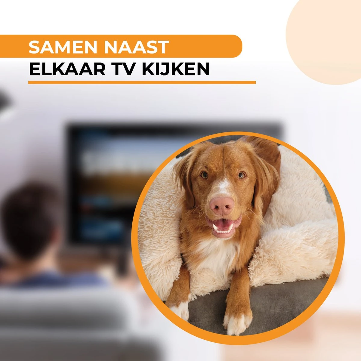 Origineel Hondendeken Voor Bank M – Hondenkleed Fluffy – Pluche Hondenbed - Hondenmand Premium - Volledig Afritsbaar - Beige 5 Origineel Hondendeken Voor Bank M – Hondenkleed Fluffy – Pluche Hondenbed - Hondenmand Premium - Volledig Afritsbaar - Beige - Afbeelding 3