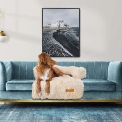 Origineel Hondendeken Voor Bank M – Hondenkleed Fluffy – Pluche Hondenbed - Hondenmand Premium - Volledig Afritsbaar - Beige 12 Origineel Hondendeken Voor Bank M – Hondenkleed Fluffy – Pluche Hondenbed - Hondenmand Premium - Volledig Afritsbaar - Beige -Hondenserie Winkel 1200x1200 195