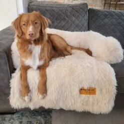 Origineel Hondendeken Voor Bank M – Hondenkleed Fluffy – Pluche Hondenbed - Hondenmand Premium - Volledig Afritsbaar - Beige 15 Origineel Hondendeken Voor Bank M – Hondenkleed Fluffy – Pluche Hondenbed - Hondenmand Premium - Volledig Afritsbaar - Beige -Hondenserie Winkel 1200x1200 197