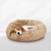 Peaceful Pooch S - Pluizig Hondenbed - 58cm Diameter - Opvouwbaar - In Verschillende Maten. Kattenbed - Wasbaar - Uitneembare Vulling - Ontspant Gewrichten En Spieren - Anti-slip Noppenbodem 2 Peaceful Pooch S - Pluizig Hondenbed - 58cm Diameter - Opvouwbaar - In Verschillende Maten. Kattenbed - Wasbaar - Uitneembare Vulling - Ontspant Gewrichten En Spieren - Anti-slip Noppenbodem -Hondenserie Winkel 1200x1200 198