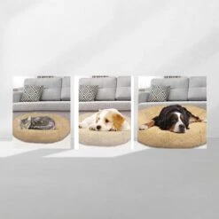 Peaceful Pooch S - Pluizig Hondenbed - 58cm Diameter - Opvouwbaar - In Verschillende Maten. Kattenbed - Wasbaar - Uitneembare Vulling - Ontspant Gewrichten En Spieren - Anti-slip Noppenbodem -Hondenserie Winkel 1200x1200 199