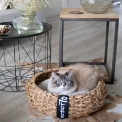 District 70 COCOON - Luxe Hondenmand Van Duurzaam Hoogwaardig Riet Met Zacht Kussen - Maten S/M/L - Large 36 District 70 COCOON - Luxe Hondenmand Van Duurzaam Hoogwaardig Riet Met Zacht Kussen - Maten S/M/L - Large -Hondenserie Winkel 1200x1200 20