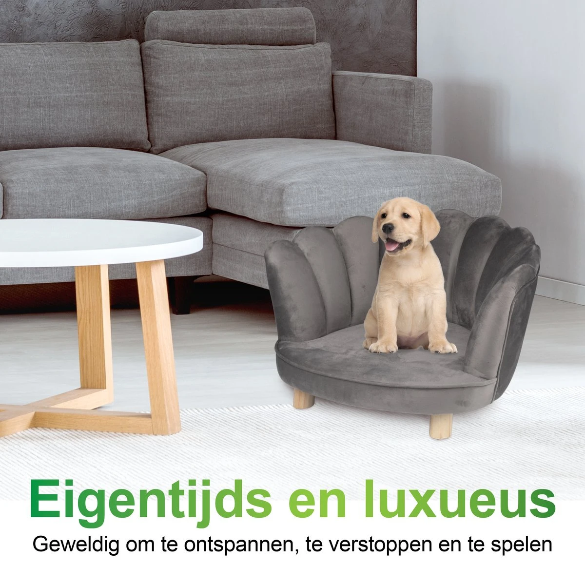 Maxxpro Katten- En Hondenstoel - Grijs - Verhoogd Met Houten Poten - Fluweel Materiaal - 61.5 X 52 X 33 CM - Huisdieren Tot 80 KG 7 Maxxpro Katten- En Hondenstoel - Grijs - Verhoogd Met Houten Poten - Fluweel Materiaal - 61.5 X 52 X 33 CM - Huisdieren Tot 80 KG - Afbeelding 5