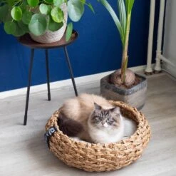 District 70 COCOON - Luxe Hondenmand Van Duurzaam Hoogwaardig Riet Met Zacht Kussen - Maten S/M/L - Large 37 District 70 COCOON - Luxe Hondenmand Van Duurzaam Hoogwaardig Riet Met Zacht Kussen - Maten S/M/L - Large -Hondenserie Winkel 1200x1200 21