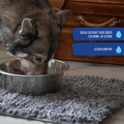 Royal Dry Absorberende Anti-knoeimat Voor Honden – Trekt Vuil Als Een Spons – Laat Geen Vocht Door – 61x45 Cm – Microfiber Chenille – Geschikt Voor Honden En Overige Huisdieren 14 Royal Dry Absorberende Anti-knoeimat Voor Honden – Trekt Vuil Als Een Spons – Laat Geen Vocht Door – 61x45 Cm – Microfiber Chenille – Geschikt Voor Honden En Overige Huisdieren -Hondenserie Winkel 1200x1200 236