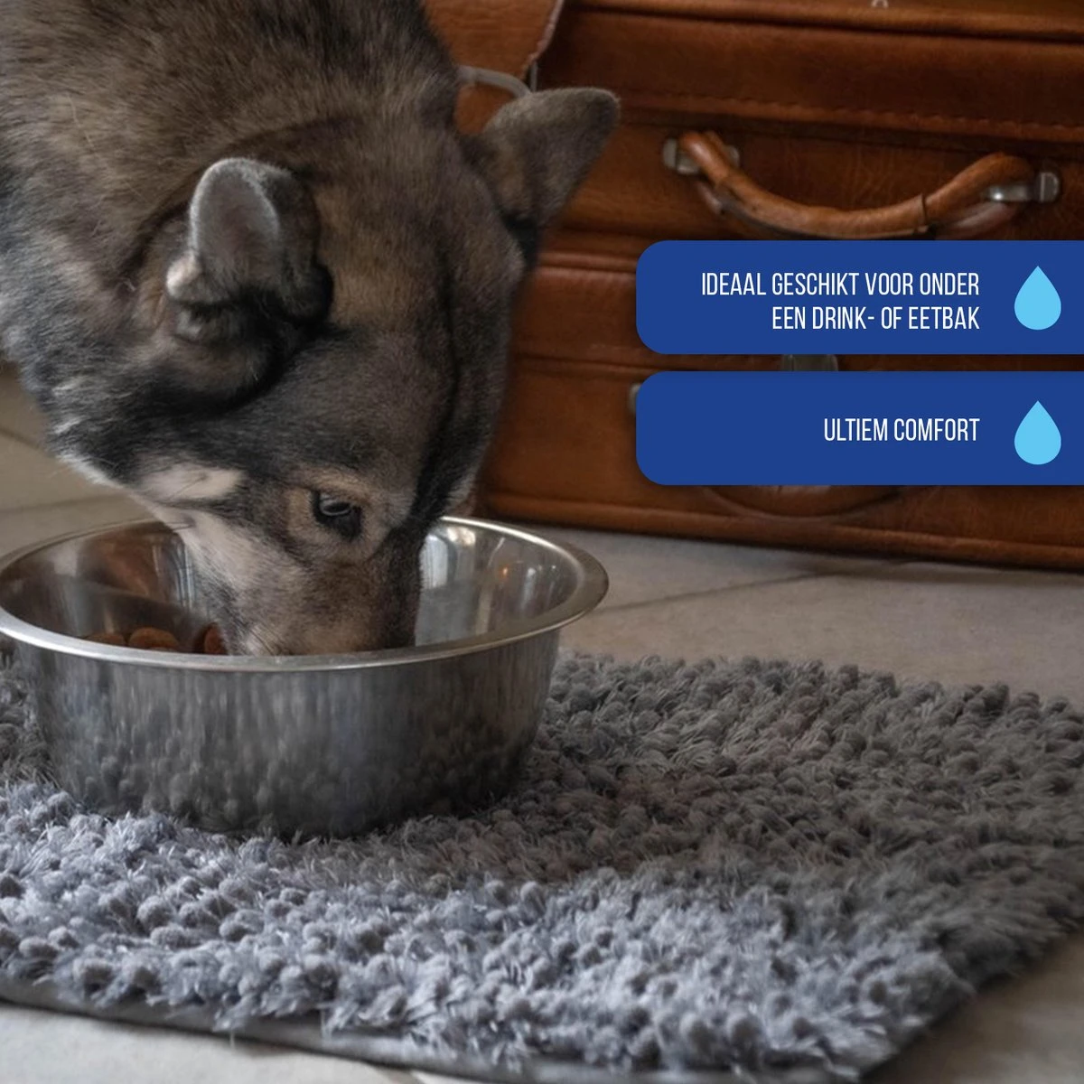 Royal Dry Absorberende Anti-knoeimat Voor Honden – Trekt Vuil Als Een Spons – Laat Geen Vocht Door – 61x45 Cm – Microfiber Chenille – Geschikt Voor Honden En Overige Huisdieren 8 Royal Dry Absorberende Anti-knoeimat Voor Honden – Trekt Vuil Als Een Spons – Laat Geen Vocht Door – 61x45 Cm – Microfiber Chenille – Geschikt Voor Honden En Overige Huisdieren - Afbeelding 6