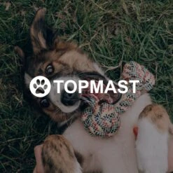 Topmast Waterproof Benchkussen - Nylon - Zwart - 60 X 45 Cm - Benchmat - Benchmatras - Waterafstotend - Hondenkussen -Hondenserie Winkel 1200x1200 245