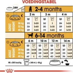 Royal Canin Labrador Retriever Junior 12 KG -Hondenserie Winkel 1200x1200 295