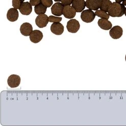 Vetality Hypoallergenic Hondenvoer - 10 Kg -Hondenserie Winkel 1200x1200 307