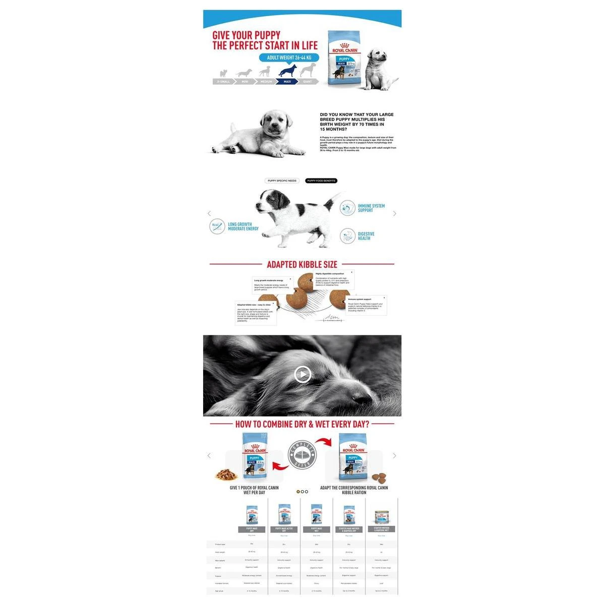 Royal Canin Maxi Puppy 4 KG 16 Royal Canin Maxi Puppy 4 KG - Afbeelding 14