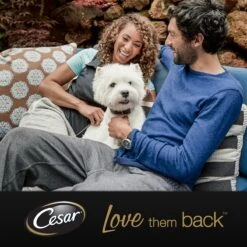 Cesar Primeur Paté Honden Natvoer - Kalf & Worteltjes - 10 X 300 Gr 7 Cesar Primeur Paté Honden Natvoer - Kalf & Worteltjes - 10 X 300 Gr -Hondenserie Winkel 1200x1200 325