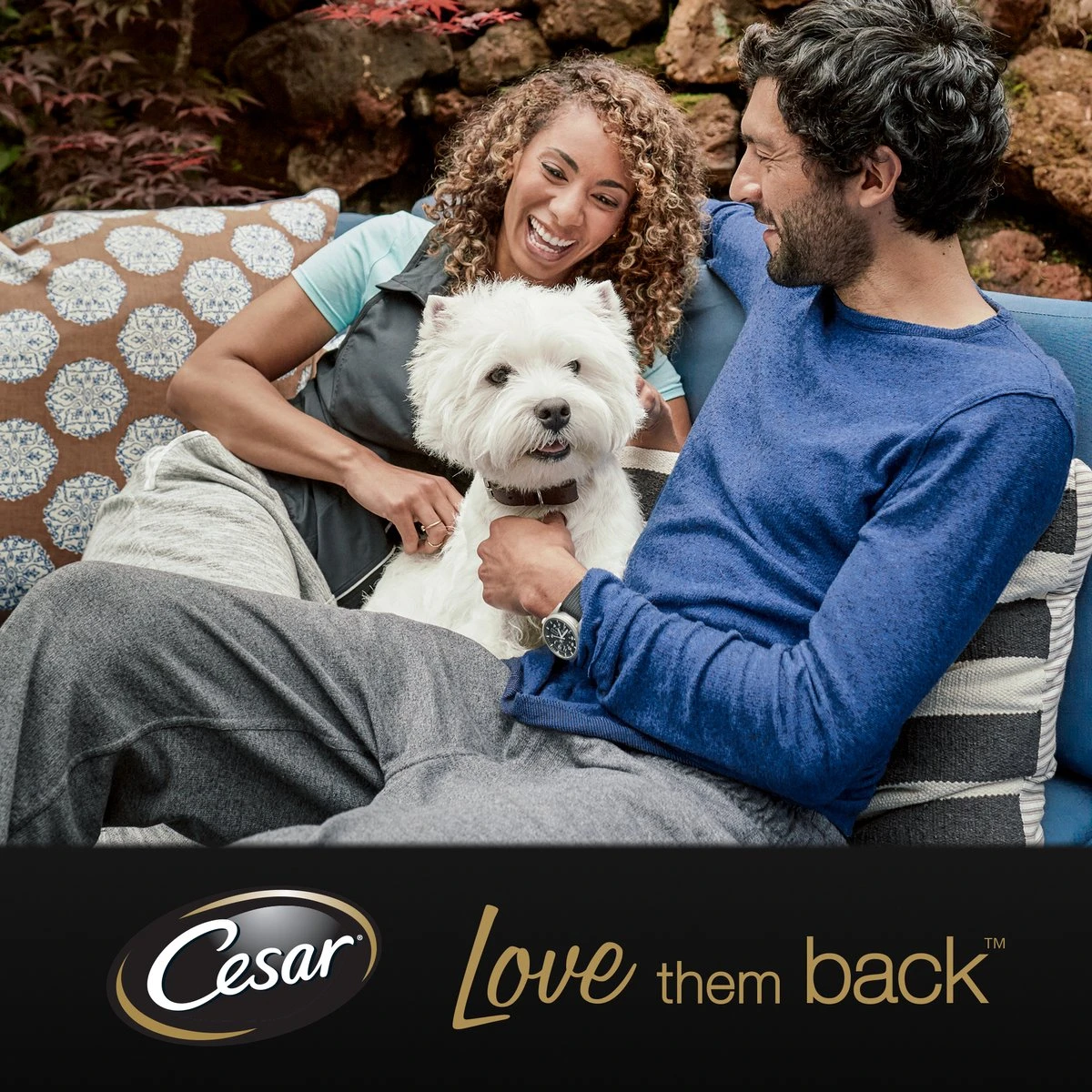 Cesar Primeur Paté Honden Natvoer - Kalf & Worteltjes - 10 X 300 Gr 5 Cesar Primeur Paté Honden Natvoer - Kalf & Worteltjes - 10 X 300 Gr - Afbeelding 3