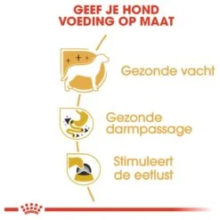 Royal Canin Chihuahua Pouch (12X85 GR) 14 Royal Canin Chihuahua Pouch (12X85 GR) -Hondenserie Winkel 1200x1200 329