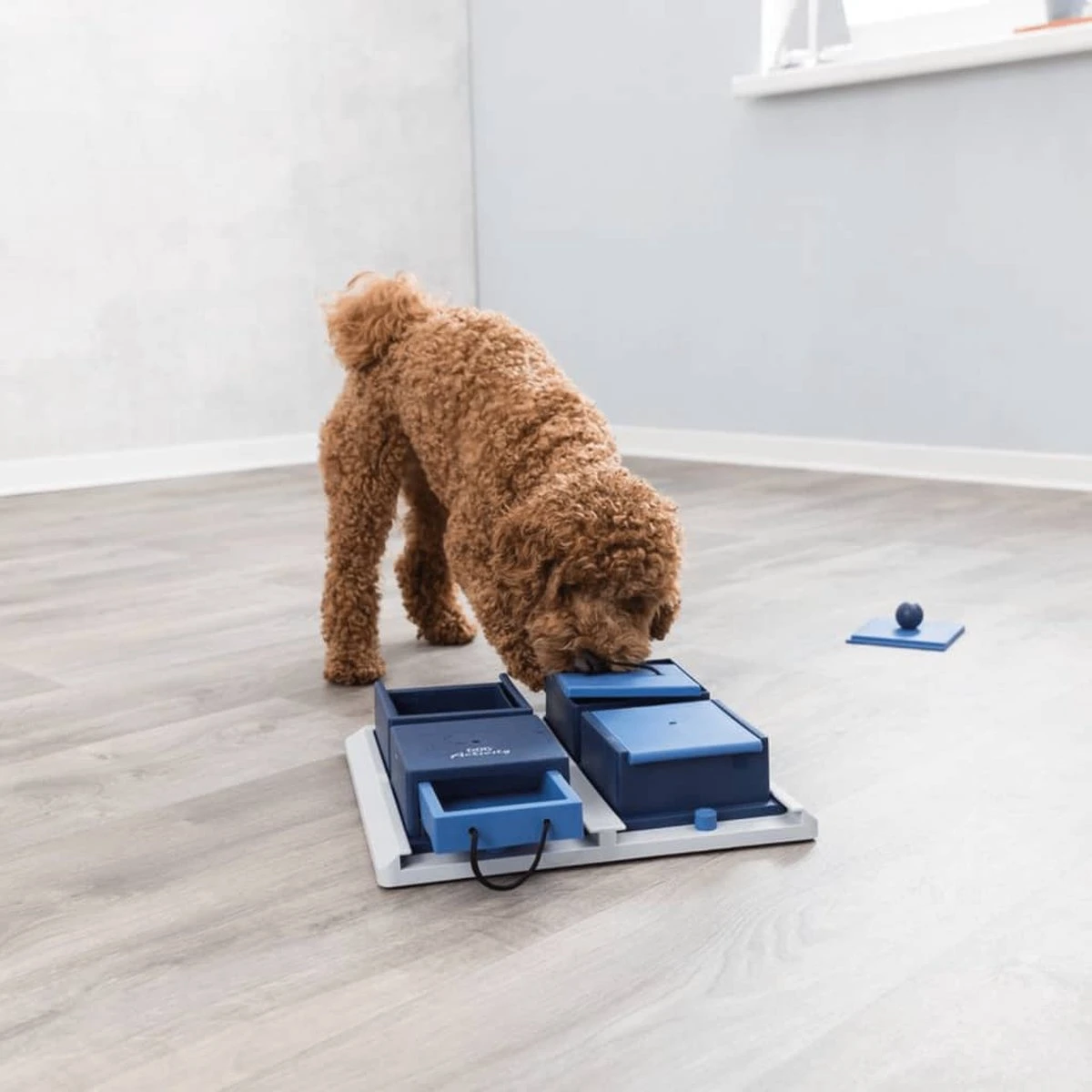 Trixie Dog Activity Poker Box 1 - 31X31 CM 4 Trixie Dog Activity Poker Box 1 - 31X31 CM - Afbeelding 2