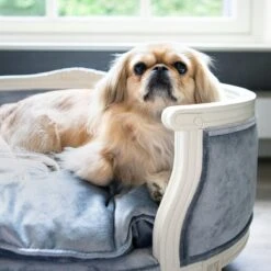 Lord Lou - George Blauw Velvet S - Luxe Hondenmand - Luxe Kattenmand - 49x40x31 18 Lord Lou - George Blauw Velvet S - Luxe Hondenmand - Luxe Kattenmand - 49x40x31 -Hondenserie Winkel 1200x1200 37