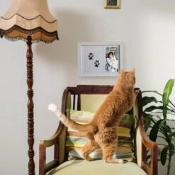 NOVOB® Fotolijst Met Inktafdruk - Pootafdruk Hond - Contactloos - Paw Print - Hondenspeelgoed - Afdruk Huisdier - Cadeau - 23.5 X 29 Cm | Wit -Hondenserie Winkel 1200x1200 406