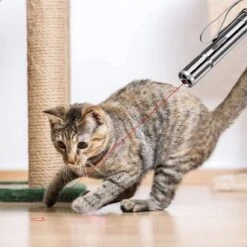 Laserpen - Kattenspeeltjes - Laser - Katten Speelgoed - Kattenspeelgoed - Laserlampje Kat - Speeltjes - Pointer - Lamp - Laserlampje - USB Oplaadbaar 13 Laserpen - Kattenspeeltjes - Laser - Katten Speelgoed - Kattenspeelgoed - Laserlampje Kat - Speeltjes - Pointer - Lamp - Laserlampje - USB Oplaadbaar -Hondenserie Winkel 1200x1200 410
