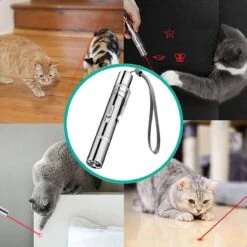 Laserpen - Kattenspeeltjes - Laser - Katten Speelgoed - Kattenspeelgoed - Laserlampje Kat - Speeltjes - Pointer - Lamp - Laserlampje - USB Oplaadbaar 18 Laserpen - Kattenspeeltjes - Laser - Katten Speelgoed - Kattenspeelgoed - Laserlampje Kat - Speeltjes - Pointer - Lamp - Laserlampje - USB Oplaadbaar -Hondenserie Winkel 1200x1200 415