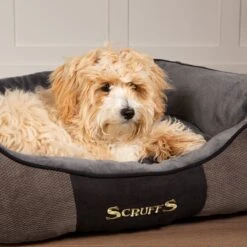Hondenmand Zacht En Stevig, Anti-Slip En Wasbaar - Scruffs Chester Box Bed - In Grijs En Bruin In Maat S Tot XL - Kleur: Grijs, Maat: Medium 37 Hondenmand Zacht En Stevig, Anti-Slip En Wasbaar - Scruffs Chester Box Bed - In Grijs En Bruin In Maat S Tot XL - Kleur: Grijs, Maat: Medium -Hondenserie Winkel 1200x1200 43