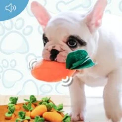 Snuffelmat Hond – Denkspel Hond – Honden Speelgoed – Hondenspel – Wortelveld -Hondenserie Winkel 1200x1200 437