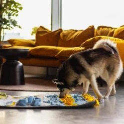 Snuffies Snuffelmat Jara 100x65cm - Snuffelmat – Snuffelmatten - Honden Speelgoed - Honden Speelgoed Intelligentie – Snuffelmat - Snuffelmat Hond - Snuffelmatten – Hersenwerk – Honden Speeltjes – Puppy - Puppy Speelgoed - Honden Denkspelletjes 15 Snuffies Snuffelmat Jara 100x65cm - Snuffelmat – Snuffelmatten - Honden Speelgoed - Honden Speelgoed Intelligentie – Snuffelmat - Snuffelmat Hond - Snuffelmatten – Hersenwerk – Honden Speeltjes – Puppy - Puppy Speelgoed - Honden Denkspelletjes -Hondenserie Winkel 1200x1200 456