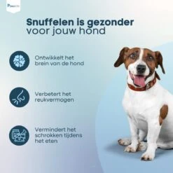 Pawzle Snuffelmat Hond - Likmat - Anti Schrokbak - Honden Speelgoed Intelligentie - Puppy - Inclusief Speelbal - 50x50cm - Blauw 16 Pawzle Snuffelmat Hond - Likmat - Anti Schrokbak - Honden Speelgoed Intelligentie - Puppy - Inclusief Speelbal - 50x50cm - Blauw -Hondenserie Winkel 1200x1200 474