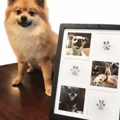 Merkloos Paw Print Pad - Pootafdruk Maken Van Hond Of Kat -Hondenserie Winkel 1200x1200 478