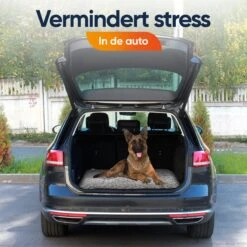 Happysnoots Hondenkussen 70 X 50cm - Hondenbed - Donut Dog Bed - Fluffy - Grijs - Wasbaar 21 Happysnoots Hondenkussen 70 X 50cm - Hondenbed - Donut Dog Bed - Fluffy - Grijs - Wasbaar -Hondenserie Winkel 1200x1200 48