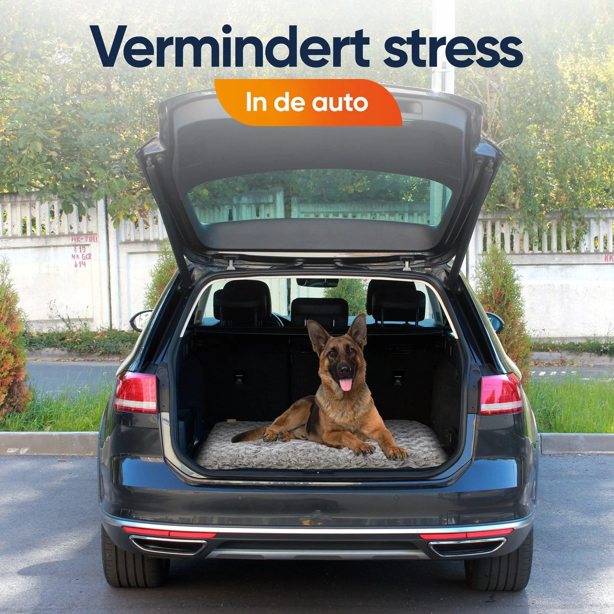 Happysnoots Hondenkussen 70 X 50cm - Hondenbed - Donut Dog Bed - Fluffy - Grijs - Wasbaar 8 Happysnoots Hondenkussen 70 X 50cm - Hondenbed - Donut Dog Bed - Fluffy - Grijs - Wasbaar - Afbeelding 6