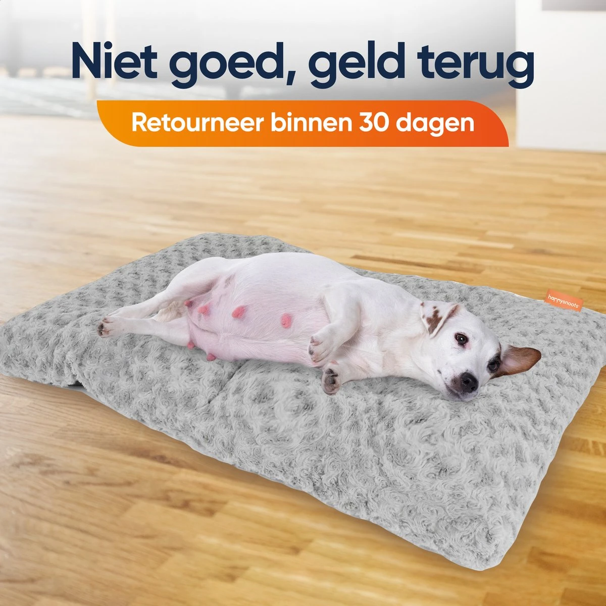 Happysnoots Hondenkussen 70 X 50cm - Hondenbed - Donut Dog Bed - Fluffy - Grijs - Wasbaar 9 Happysnoots Hondenkussen 70 X 50cm - Hondenbed - Donut Dog Bed - Fluffy - Grijs - Wasbaar - Afbeelding 7