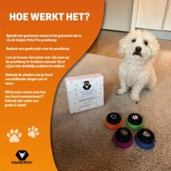 Vulpes Pets® PRO Praatknop Voor Honden Met Speelmat - Dogbuttons - Laat Uw Huisdier Spreken - Hondenspeelgoed - Honden Training - Inclusief E-Book En Speelmat 27 Vulpes Pets® PRO Praatknop Voor Honden Met Speelmat - Dogbuttons - Laat Uw Huisdier Spreken - Hondenspeelgoed - Honden Training - Inclusief E-Book En Speelmat -Hondenserie Winkel 1200x1200 490