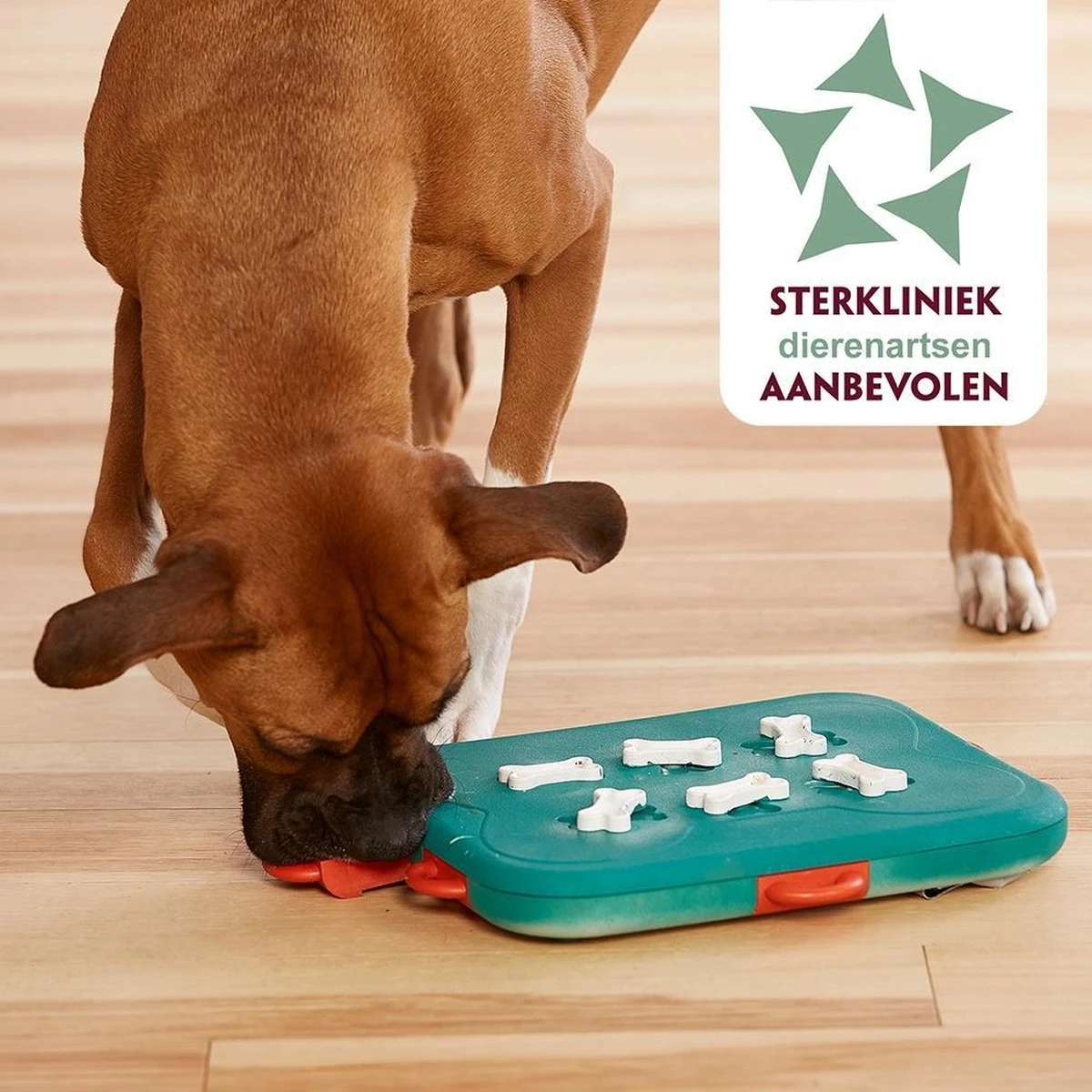 Nina Ottosson Dog Casino - Turquoise/Oranje - 31,5 X 26 X 4,5 Cm 6 Nina Ottosson Dog Casino - Turquoise/Oranje - 31,5 X 26 X 4,5 Cm - Afbeelding 4