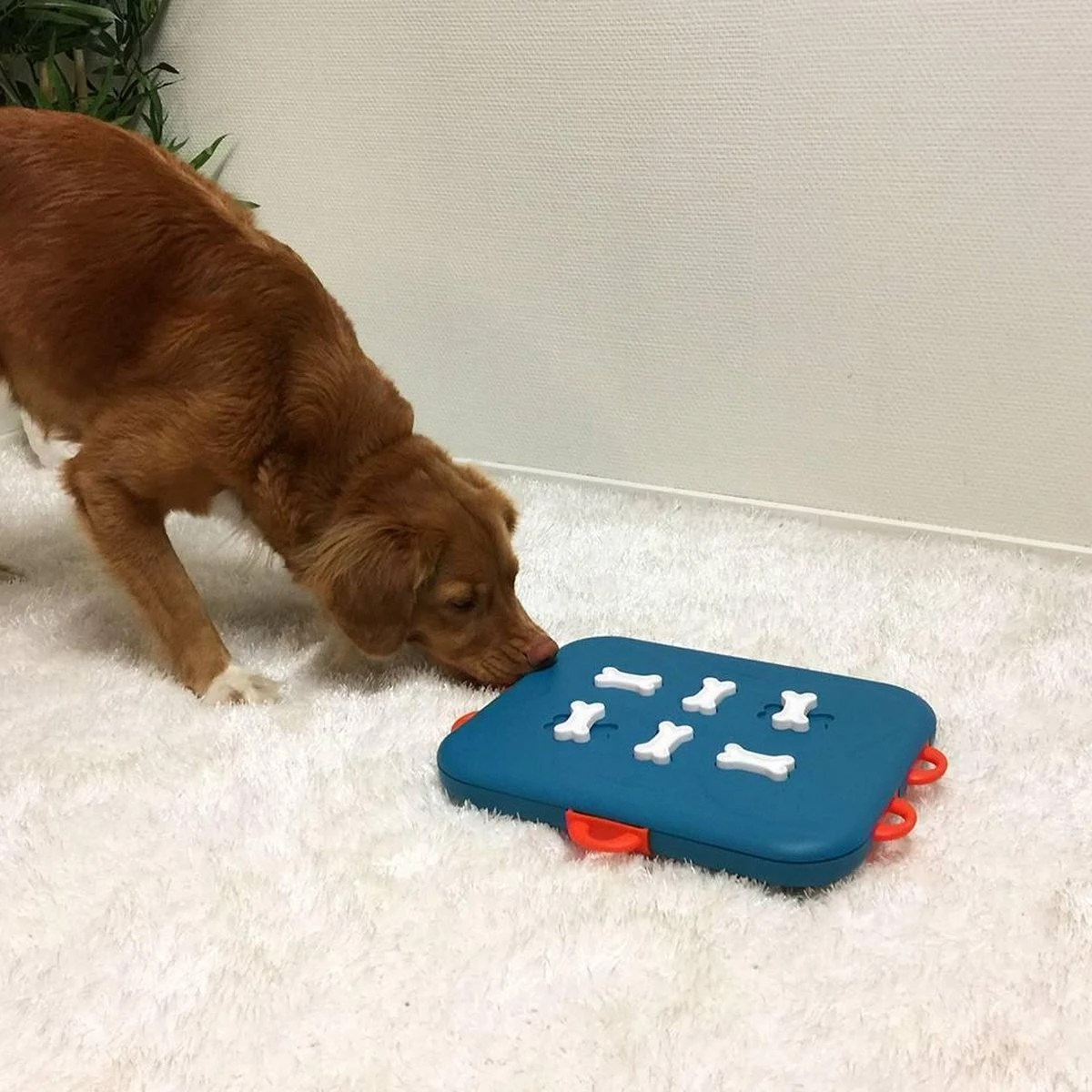 Nina Ottosson Dog Casino - Turquoise/Oranje - 31,5 X 26 X 4,5 Cm 9 Nina Ottosson Dog Casino - Turquoise/Oranje - 31,5 X 26 X 4,5 Cm - Afbeelding 7