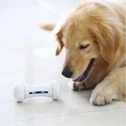 Wickedbone - Automatisch, Interactief En Intelligent Speelgoed Voor Honden - App & Bluetooth Bestuurbaar - USB Oplaadbaar -Hondenserie Winkel 1200x1200 512