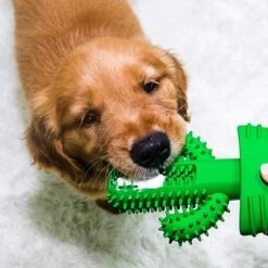 Tandenborstel + TANDPASTA Hond Melk Geur Smaak En Piep Honden Speelgoed - Cactus Dog Toy Tandverzorging Kauwbotten Hondenspeelgoed Hondenbot Kauwstaaf Tanden Puppy Hondenspeeltje Sterk Kauwspeelgoed - Dutchwide -Hondenserie Winkel 1200x1200 523