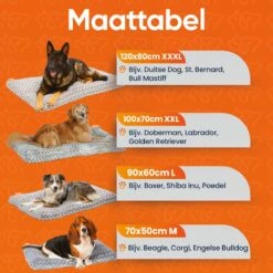 Happysnoots Hondenkussen 70 X 50cm - Hondenbed - Donut Dog Bed - Fluffy - Grijs - Wasbaar 29 Happysnoots Hondenkussen 70 X 50cm - Hondenbed - Donut Dog Bed - Fluffy - Grijs - Wasbaar -Hondenserie Winkel 1200x1200 56