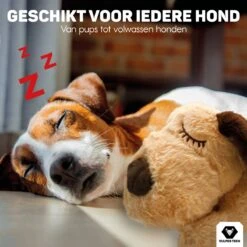 Vulpes Pets® Knuffel Hond Met Hartslag – Puppyknuffel - Hondenknuffel Voor Puppy - Snuggle Puppy - Knuffel Met Hartslag En Gratis Warmte Pad Speciaal Voor Puppy's 19 Vulpes Pets® Knuffel Hond Met Hartslag – Puppyknuffel - Hondenknuffel Voor Puppy - Snuggle Puppy - Knuffel Met Hartslag En Gratis Warmte Pad Speciaal Voor Puppy's -Hondenserie Winkel 1200x1200 562