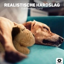 Vulpes Pets® Knuffel Hond Met Hartslag – Puppyknuffel - Hondenknuffel Voor Puppy - Snuggle Puppy - Knuffel Met Hartslag En Gratis Warmte Pad Speciaal Voor Puppy's 21 Vulpes Pets® Knuffel Hond Met Hartslag – Puppyknuffel - Hondenknuffel Voor Puppy - Snuggle Puppy - Knuffel Met Hartslag En Gratis Warmte Pad Speciaal Voor Puppy's -Hondenserie Winkel 1200x1200 564