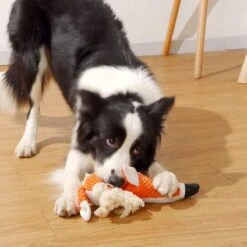 BoDutch Honden Knuffel - Vos - Puppyknuffel - Knisperoortjes - Met Piep - Oranje - 36 Cm - Hondenspeelgoed 17 BoDutch Honden Knuffel - Vos - Puppyknuffel - Knisperoortjes - Met Piep - Oranje - 36 Cm - Hondenspeelgoed -Hondenserie Winkel 1200x1200 566