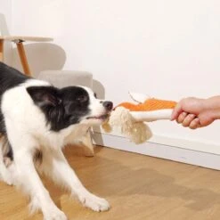 BoDutch Honden Knuffel - Vos - Puppyknuffel - Knisperoortjes - Met Piep - Oranje - 36 Cm - Hondenspeelgoed 20 BoDutch Honden Knuffel - Vos - Puppyknuffel - Knisperoortjes - Met Piep - Oranje - 36 Cm - Hondenspeelgoed -Hondenserie Winkel 1200x1200 567