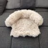 Kussen Voor Kat Of Kleine Hond | Fluffy Dierenkussen Van Pluche | Kat | Bank | Mand | Kattenmand | Kattendeken & Bankbeschermer Max. 15 Kg | Beige | Maat XS 1 Kussen Voor Kat Of Kleine Hond | Fluffy Dierenkussen Van Pluche | Kat | Bank | Mand | Kattenmand | Kattendeken & Bankbeschermer Max. 15 Kg | Beige | Maat XS -Hondenserie Winkel 1200x1200 57