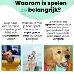 Petloverz – Honden Speelgoed Set – Honden Speeltjes – Knuffel - Speelgoed – Intelligentie – 15 Speeltjes 12 Petloverz – Honden Speelgoed Set – Honden Speeltjes – Knuffel - Speelgoed – Intelligentie – 15 Speeltjes -Hondenserie Winkel 1200x1200 580