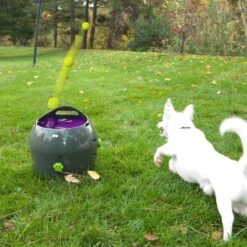 PetSafe Automatische Ballenwerper - Dierenspeelgoed -Hondenserie Winkel 1200x1200 587
