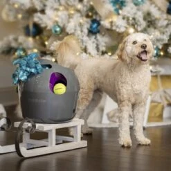 PetSafe Automatische Ballenwerper - Dierenspeelgoed -Hondenserie Winkel 1200x1200 588